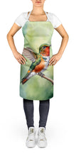 Load image into Gallery viewer, Allens Hummingbird Apron – Artist-Designed Kitchen, BBQ &amp; Craft Apron