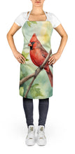 Load image into Gallery viewer, West Virginia Northern CardInal Apron – Artist-Designed Kitchen, BBQ &amp; Craft Apron
