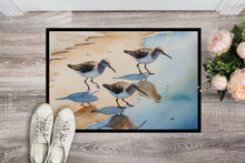Load image into Gallery viewer, Sandpipers Doormat-24x36 Indoor / Outdoor Rug | Made in USA