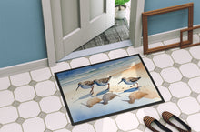 Load image into Gallery viewer, Sandpipers Doormat-24x36 Indoor / Outdoor Rug | Made in USA