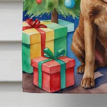 Load image into Gallery viewer, Chesapeake Bay Retriever Christmas Reindeer House Flag