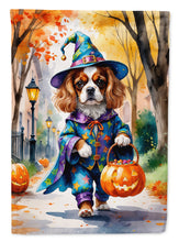 Load image into Gallery viewer, Cavalier Spaniel Halloween Trick or Treat House Flag