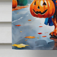 Load image into Gallery viewer, Red Dachshund Halloween Trick or Treat House Flag