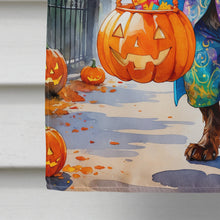 Load image into Gallery viewer, German Wirehaired Pointer Halloween Trick or Treat House Flag