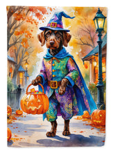 Load image into Gallery viewer, German Wirehaired Pointer Halloween Trick or Treat House Flag