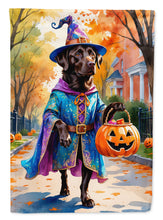 Load image into Gallery viewer, Chocolate Labrador Retriever Halloween Trick or Treat House Flag