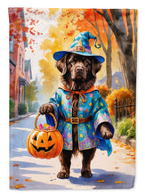Load image into Gallery viewer, Chocolate Newfoundland Halloween Trick or Treat Garden Flag