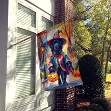 Load image into Gallery viewer, Newfoundland Halloween Trick or Treat House Flag