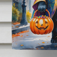 Load image into Gallery viewer, Newfoundland Halloween Trick or Treat House Flag