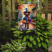 Load image into Gallery viewer, Chocolate Poodle Halloween Trick or Treat Garden Flag