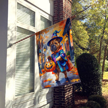 Load image into Gallery viewer, Shar Pei Halloween Trick or Treat House Flag