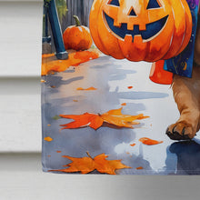 Load image into Gallery viewer, Shar Pei Halloween Trick or Treat House Flag