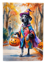 Load image into Gallery viewer, Weimaraner Halloween Trick or Treat House Flag