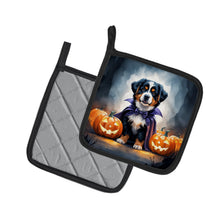Load image into Gallery viewer, Bernese Mountain Dog Puppy Halloween Pair of Pot Holders