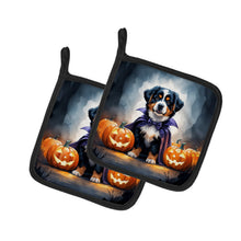 Load image into Gallery viewer, Bernese Mountain Dog Puppy Halloween Pair of Pot Holders