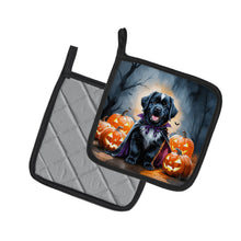 Load image into Gallery viewer, Newfoundland Puppy Halloween Pair of Pot Holders