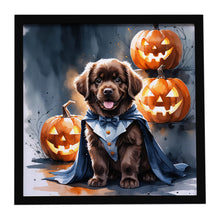 Load image into Gallery viewer, Chocolate Newfoundland Puppy Halloween Framed Metal Print