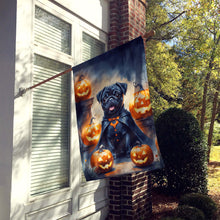 Load image into Gallery viewer, Black Pug Puppy Halloween House Flag