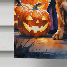 Load image into Gallery viewer, Vizsla Puppy Halloween House Flag