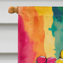 Load image into Gallery viewer, Gay Rights are Human Rights House Flag