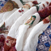 Load image into Gallery viewer, Tache Cotton Patchwork Old World Garden Pastel Blue Yellow Red Hummingbirds Quilted Throw Blanket (JHW-936)