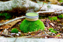 Load image into Gallery viewer, Blemish Balm