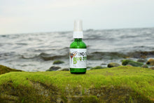 Load image into Gallery viewer, Herbal Bug Spray