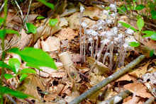 Load image into Gallery viewer, I Love You Under Eye Balm