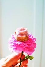 Load image into Gallery viewer, Strawberry Dreamsicle Lip Balm Scrub