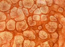 Load image into Gallery viewer, Rose Dust Gloss