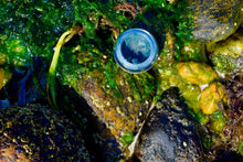 Load image into Gallery viewer, Mermaid Makeup Balm