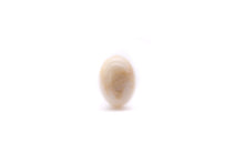 Load image into Gallery viewer, Cream Marbled Small Oval Stud Lucite Earrings