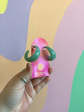 Load image into Gallery viewer, Colorful Everyday Hoop