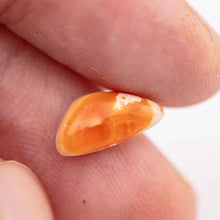 Load image into Gallery viewer, Cut Into Shape Mexican Fire Opal Set Four Pieces