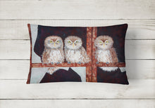 Load image into Gallery viewer, Owls by Ferris Hotard Canvas Fabric Decorative Pillow