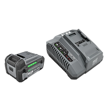Load image into Gallery viewer, FLEX FX0411-1C 5.0Ah Lithium Starter Kit