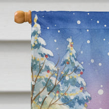 Load image into Gallery viewer, Irish Setter with Santa Claus House Flag