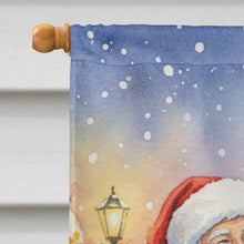 Load image into Gallery viewer, Irish Wolfhound with Santa Claus House Flag