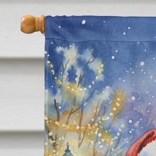 Load image into Gallery viewer, Newfoundland with Santa Claus House Flag