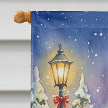 Load image into Gallery viewer, Australian Mist Cat with Santa Claus House Flag