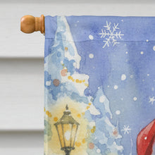 Load image into Gallery viewer, British Shorthair Cat with Santa Claus House Flag