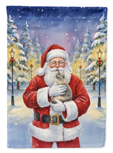 Load image into Gallery viewer, Dilute Tortoiseshell Cat with Santa Claus House Flag