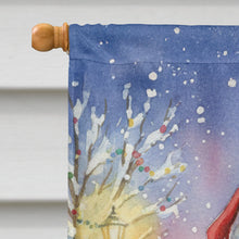Load image into Gallery viewer, MaineCoon Silver Tabby Cat with Santa Claus House Flag