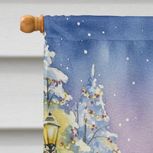 Load image into Gallery viewer, Ragdoll Bicolor Cat with Santa Claus House Flag
