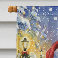 Load image into Gallery viewer, Ragdoll Blue Point Cat with Santa Claus House Flag