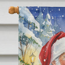 Load image into Gallery viewer, Silver Classic Tabby Cat with Santa Claus House Flag