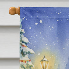 Load image into Gallery viewer, Gray Cat with Santa Claus House Flag