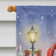 Load image into Gallery viewer, African Grey Parrot with Santa Claus House Flag