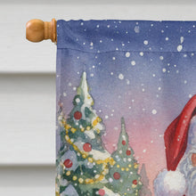 Load image into Gallery viewer, Blue Headed Pionus Parrot with Santa Claus House Flag