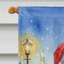 Load image into Gallery viewer, Female Eclectus with Santa Claus House Flag